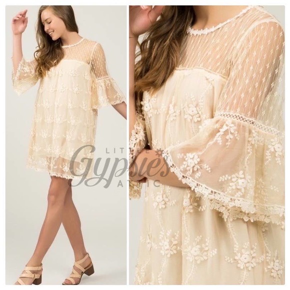 POL Honey Gold Dotted Lace Shift Dress - Picture 3 of 11